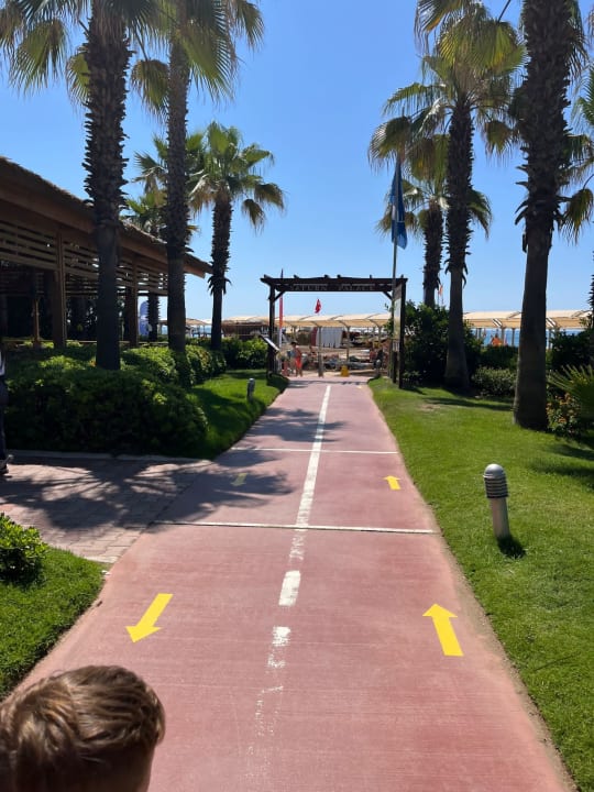 Gartenanlage Saturn Palace Resort Hotel