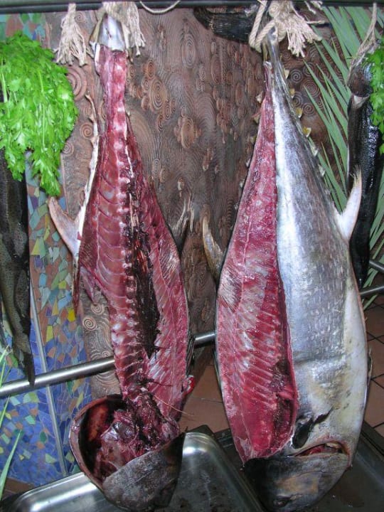 Thunfisch frisch zubereitet AQI Pegasos Resort