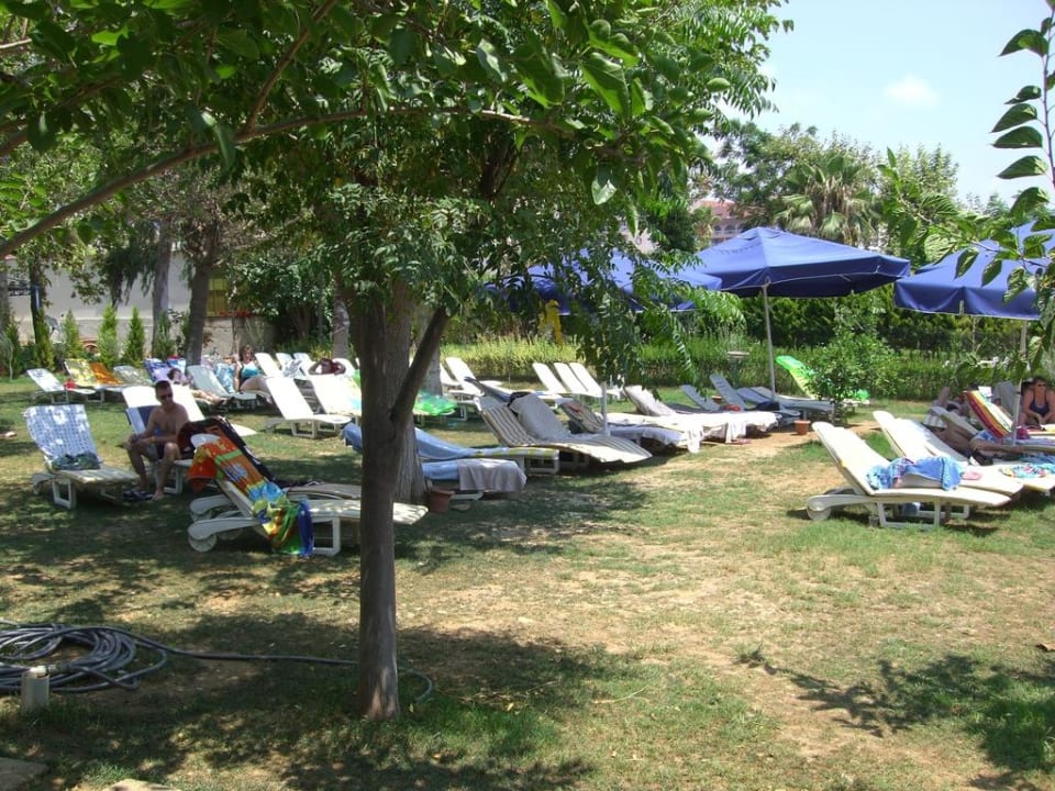 Zusatzliegen zum Strand - neben der Strandbar Hotel Gardenia Beach
