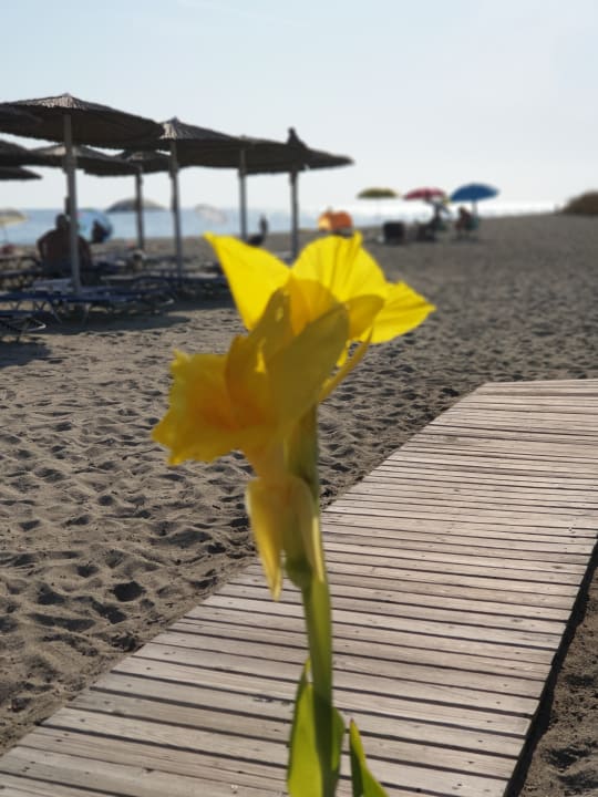 Strand Evilion Sea & Sun Hotel