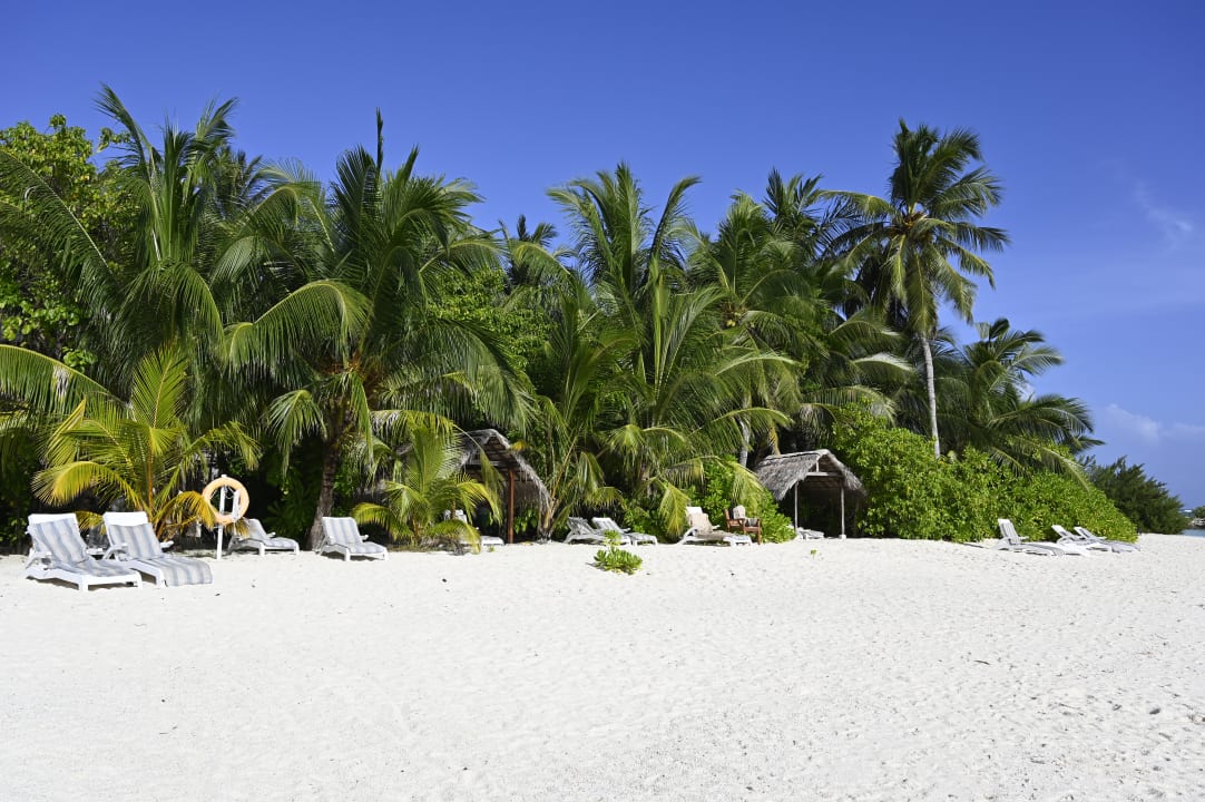 Strand Summer Island Maldives