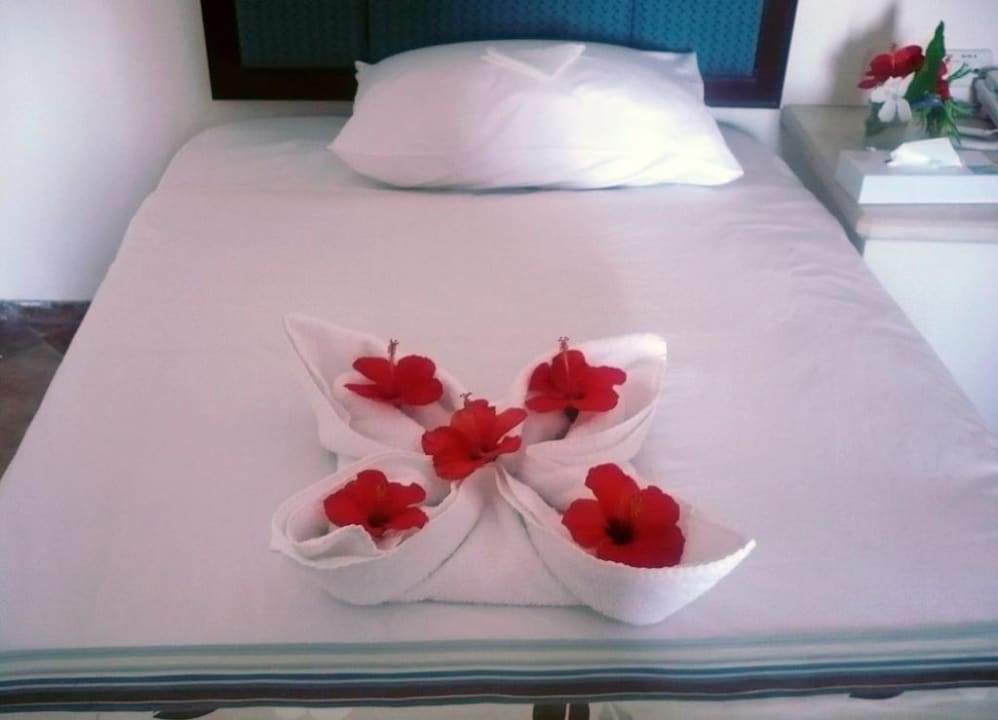 Aufmerksamkeiten Pickalbatros Citadel Resort