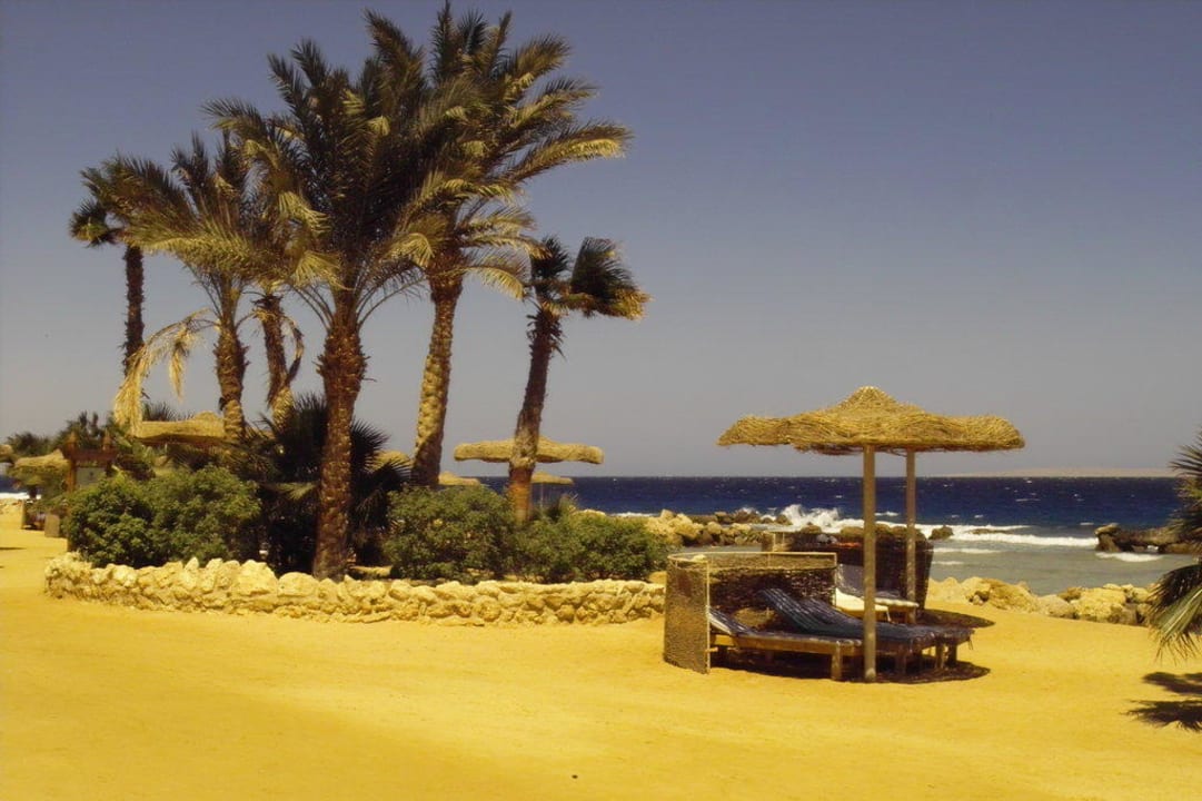 Strand Pickalbatros Citadel Resort