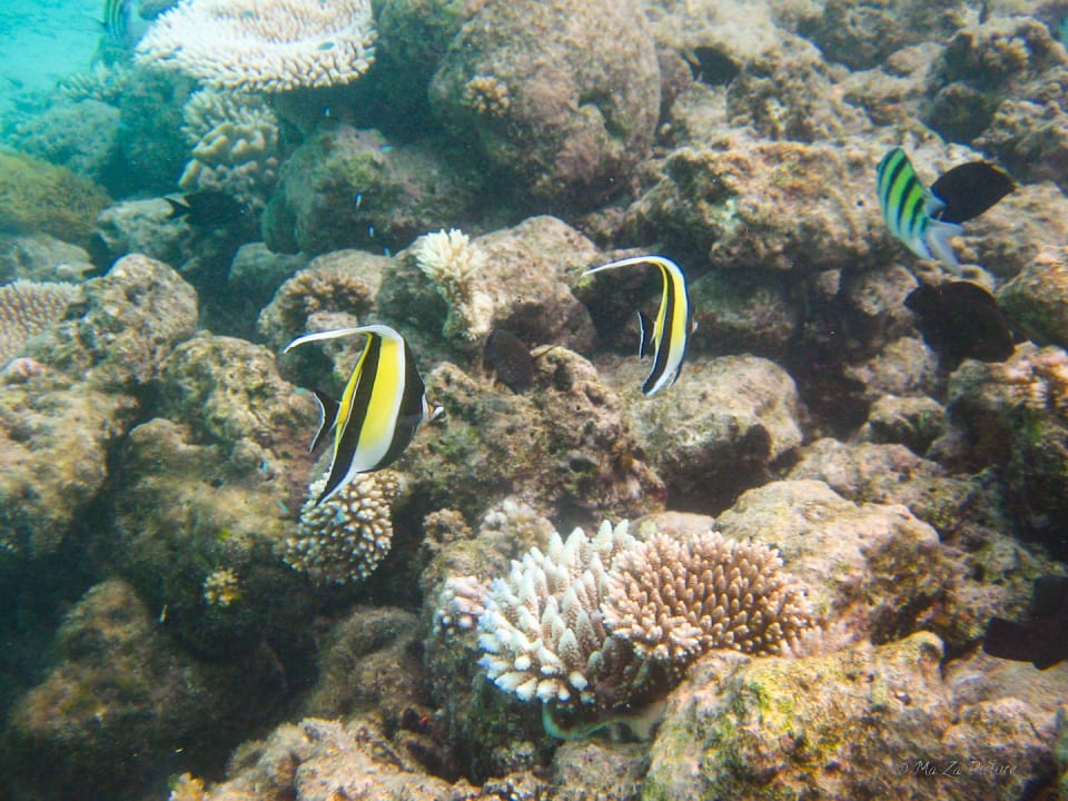 Sport & Freizeit Summer Island Maldives