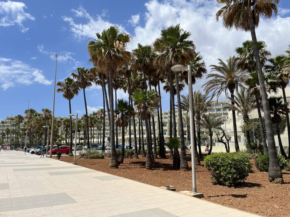 Sonstiges Hipotels Mediterraneo Club