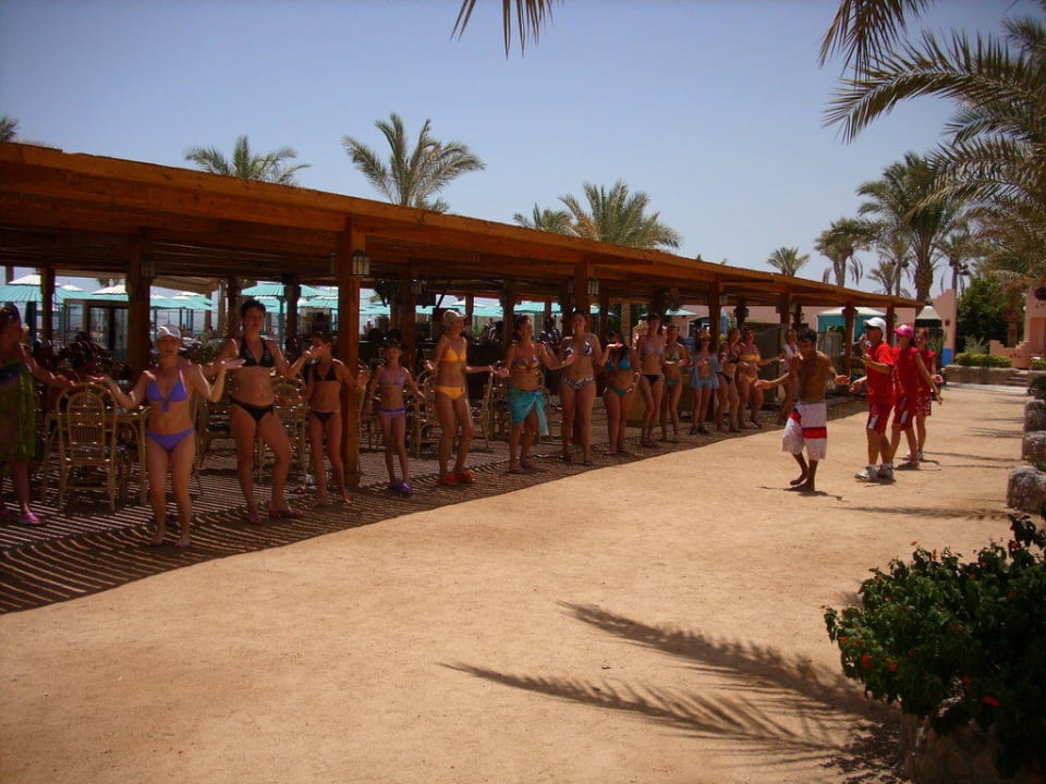 Animationstanz Hotel Le Pacha Beach Resort