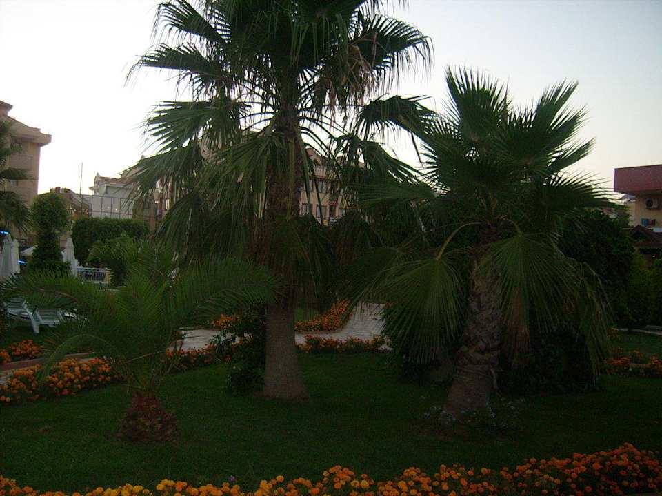 Gartenanlage Grand Seker Hotel