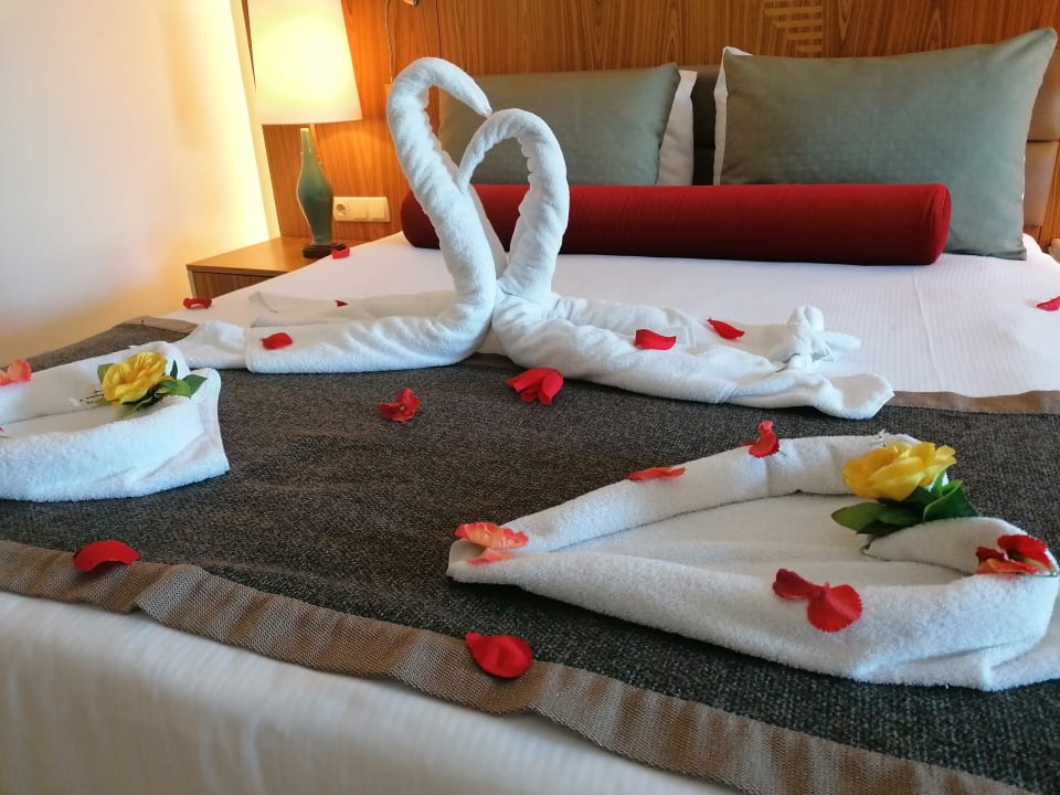 Zimmer PALOMA Perissia