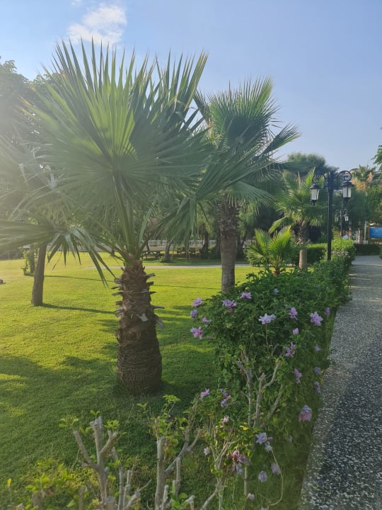 Gartenanlage Bella Resort & Spa