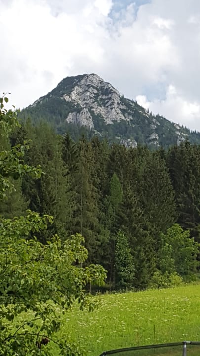 Ausblick Rauchenbichlhof