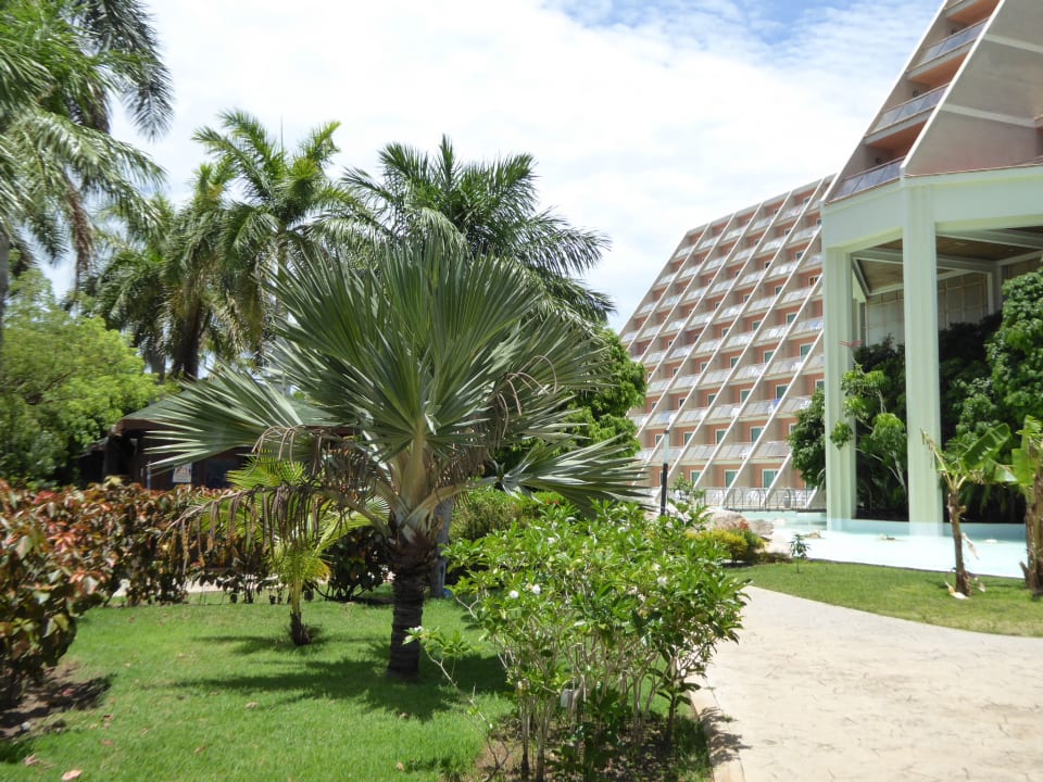 Außenansicht Blau varadero - Adults only