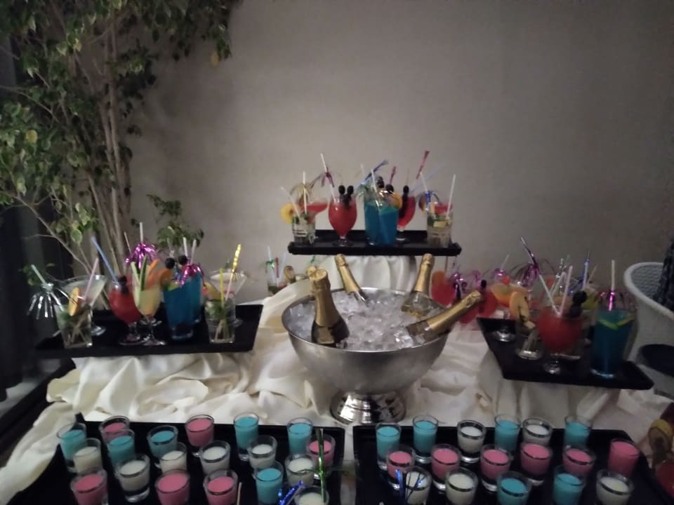 Gastro Seashell Vega