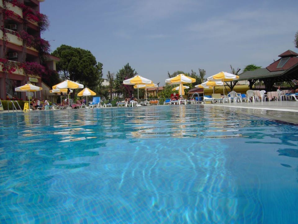 Aus dem Pool Bieno Club Venüs Hotel &Spa