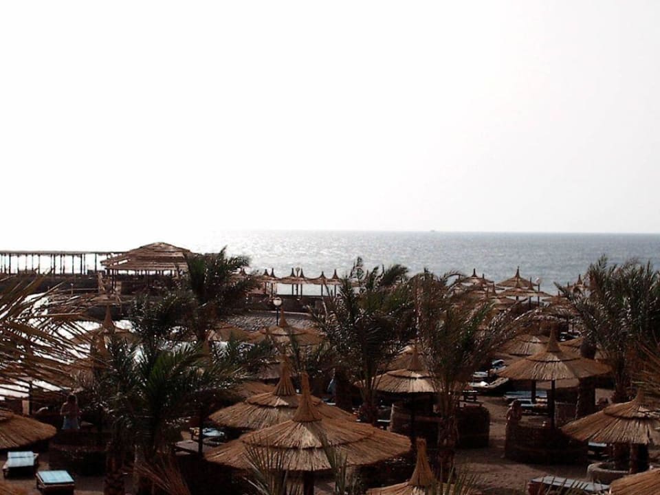 Strand Beach Albatros Resort
