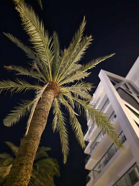 Gartenanlage Hotel Riu Papayas