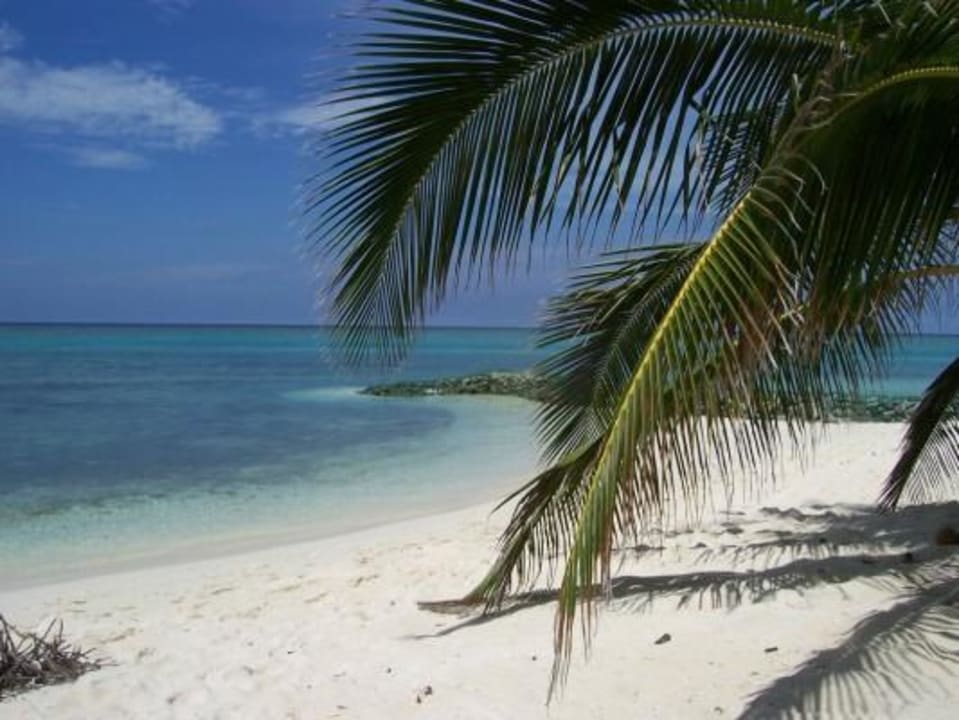 Rechts vom Bungi Summer Island Maldives