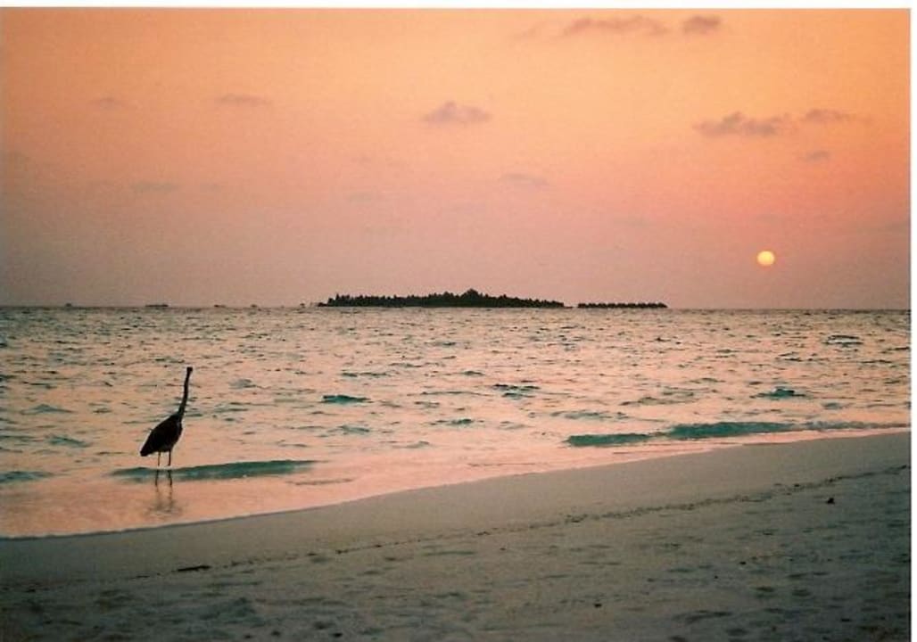 Vadoo - Tramonto Adaaran Prestige Vadoo