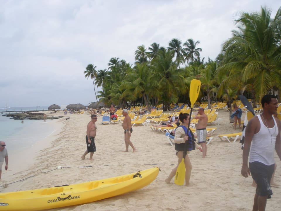 Kayak Hotel Viva Dominicus Palace by Wyndham-All Inclusive Resort