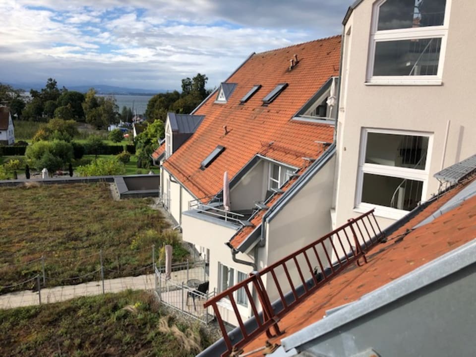 Ausblick Hotel Traube am See