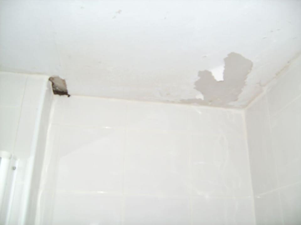 Dusche Hotel Green Field