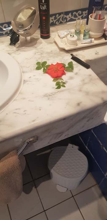 Zimmer Hotel Nesrine