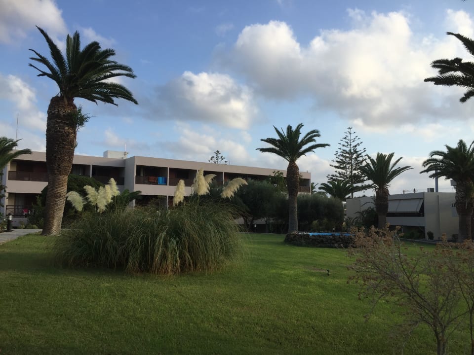 Gartenanlage allsun Hotel Malia Beach