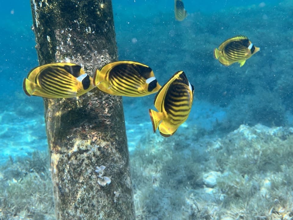 Strand Lazuli Hotel Marsa Alam