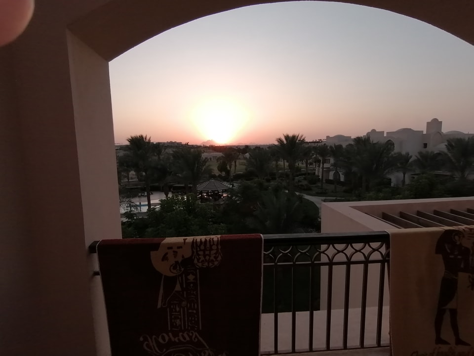 Zimmer JAZ Neo Saraya Palms