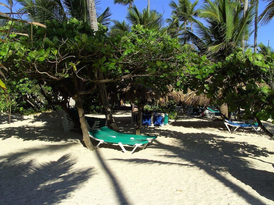 Am Strand Grand Palladium Punta Cana Resort & Spa