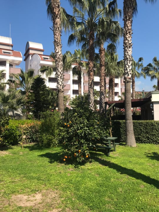 Gartenanlage Hane Family Resort