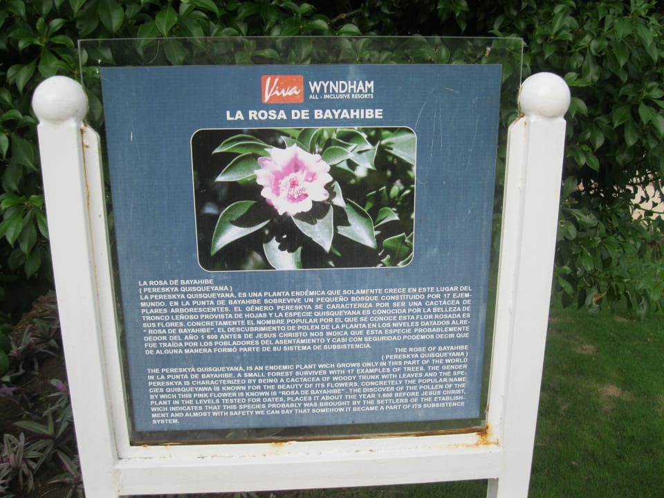 Gartenanlage Hotel Viva Dominicus Beach by Wyndham - All Inclusive Resort