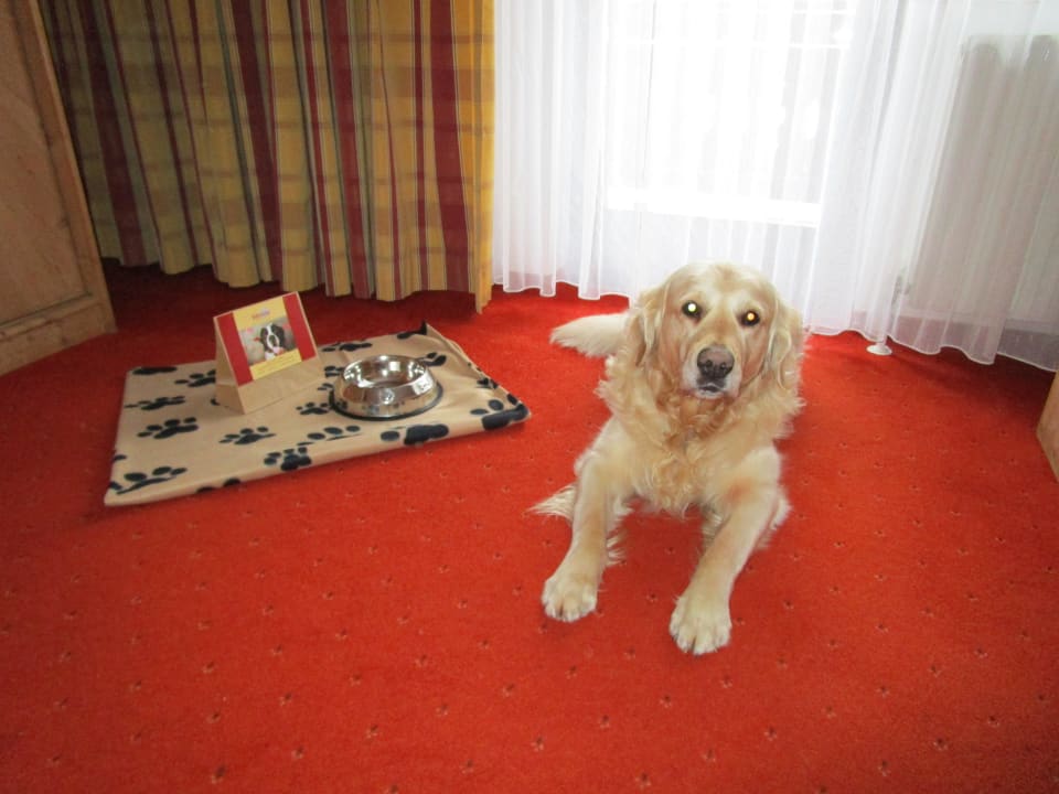 Der Hund ist bei "Johanna" zuhause Hotel Johanna mitten im Ötztal