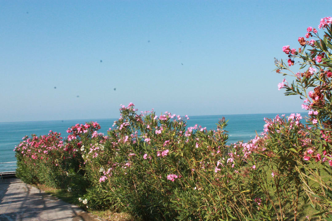 Дорога к пляжу Club Side Coast