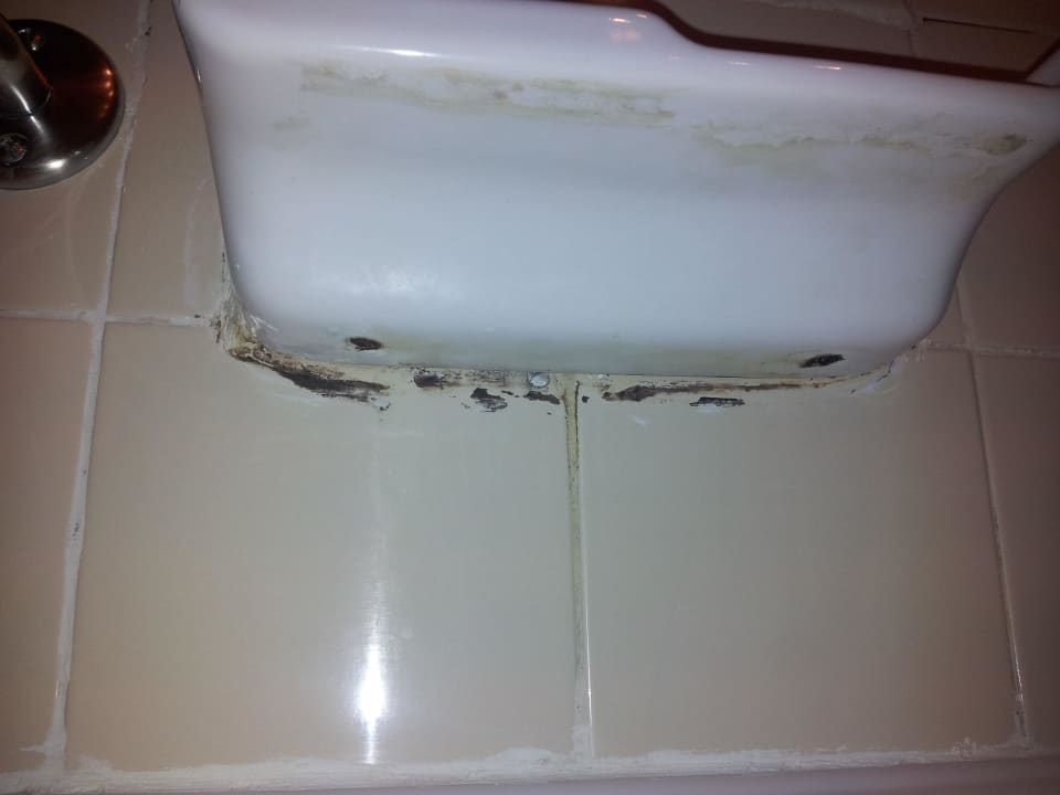 Schimmel Hotel Vibra Beverly Playa