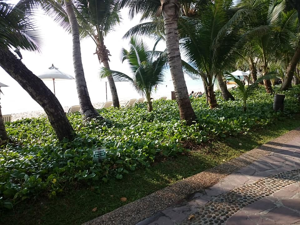 Strand Ao Prao Resort