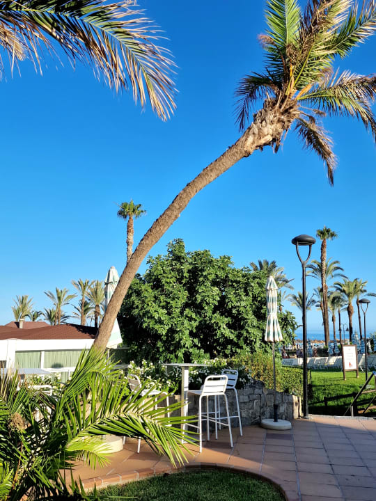Gastro MedPlaya Hotel Pez Espada