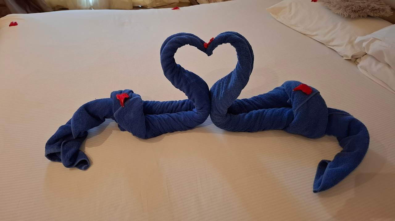 Zimmer Beach Albatros Resort