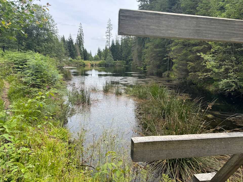 Ausblick Enztalhotel