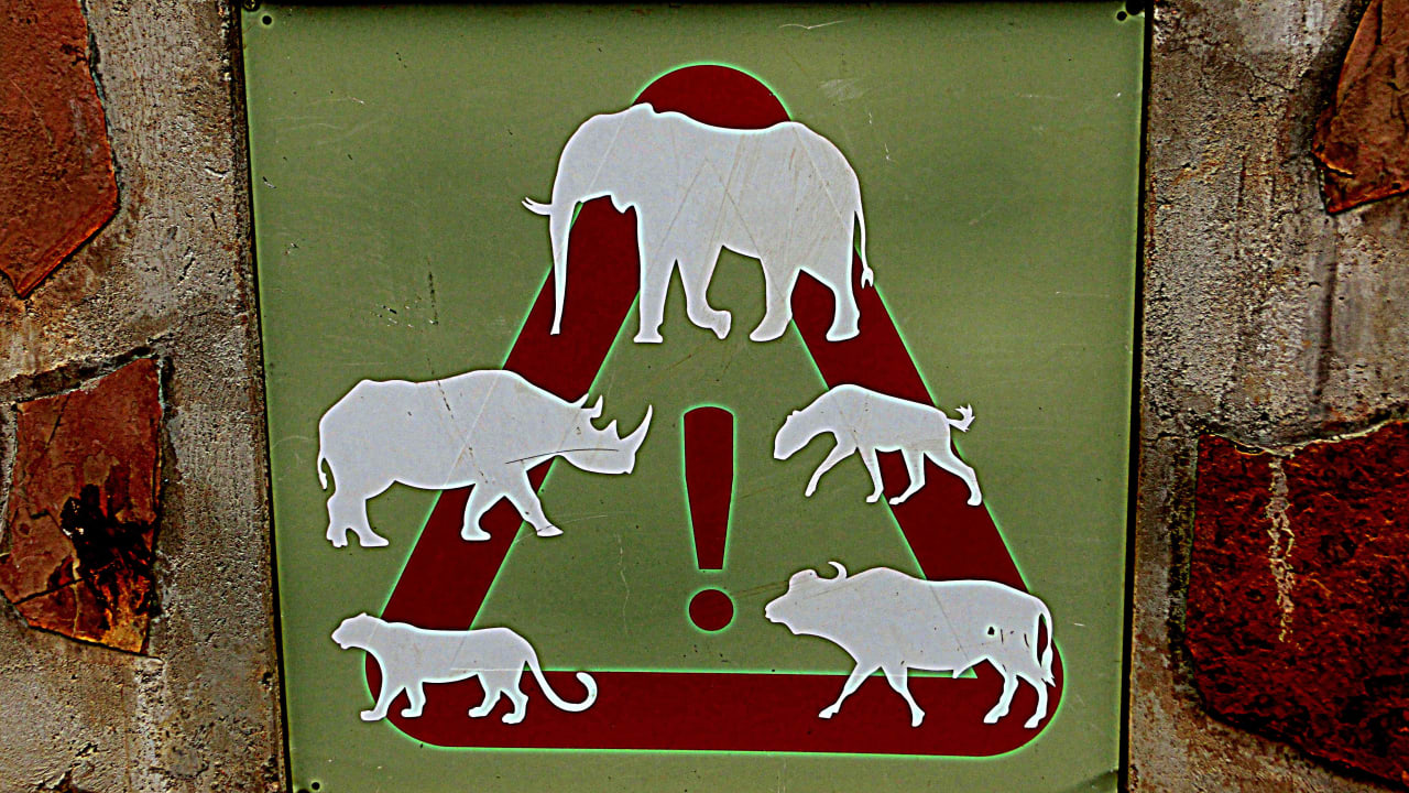 Warnschild bei der Ausfahrt! Ntshondwe Camp