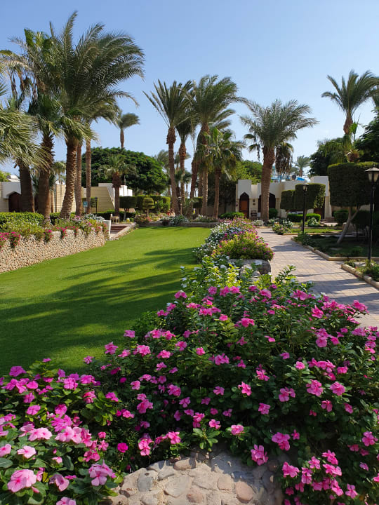 Gartenanlage Regina Resort and Aqua Park Hurghada