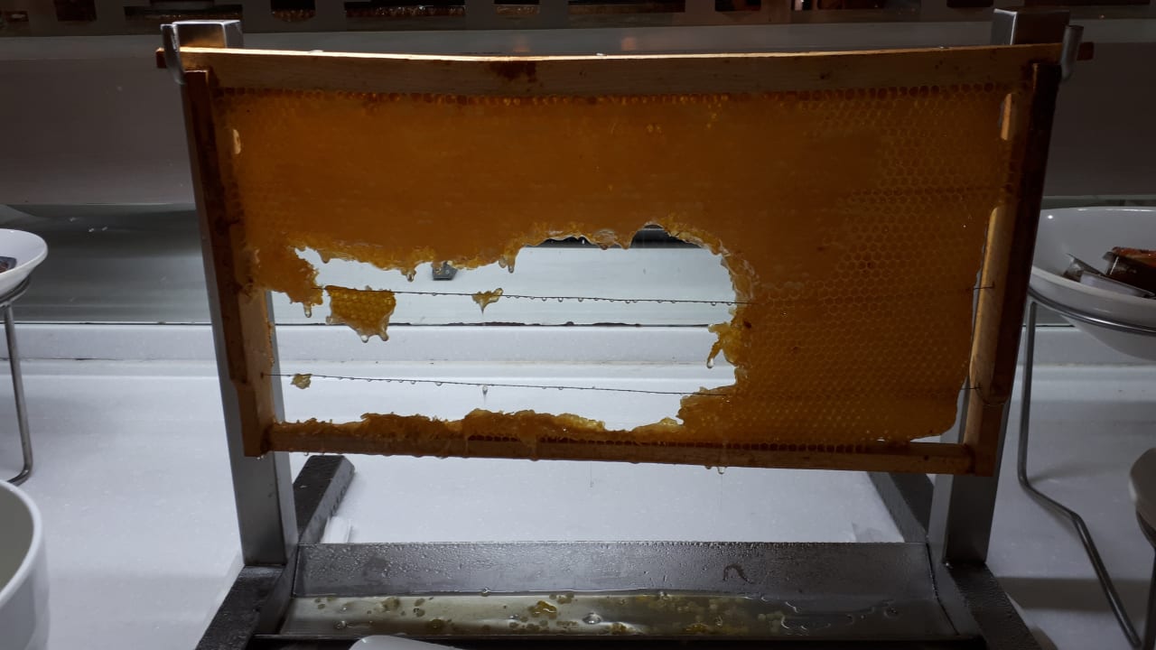 Gastro Royal Alhambra Palace