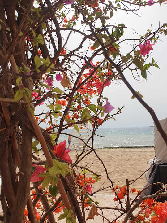 Strand Fort Arabesque Resort, Spa & Villas