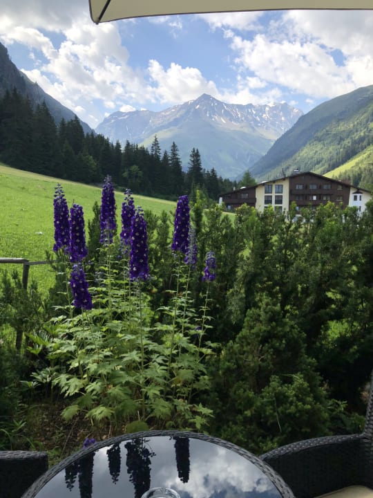 Ausblick Alpine Resort Sportalm