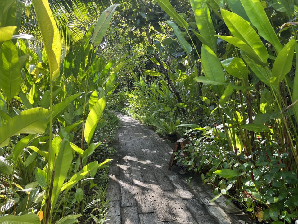 Gartenanlage Bangsak Village