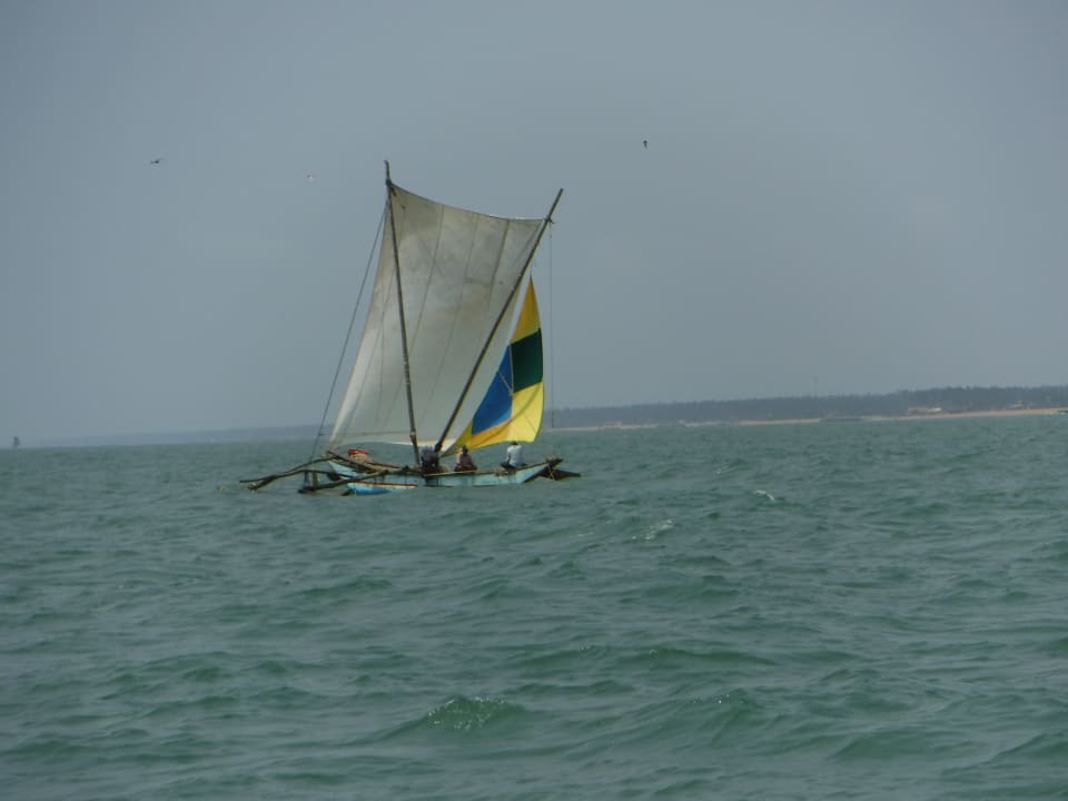 Sport & Freizeit Goldi Sands Hotel