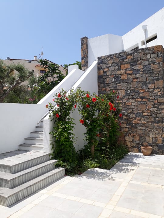 Gartenanlage The Island Hotel