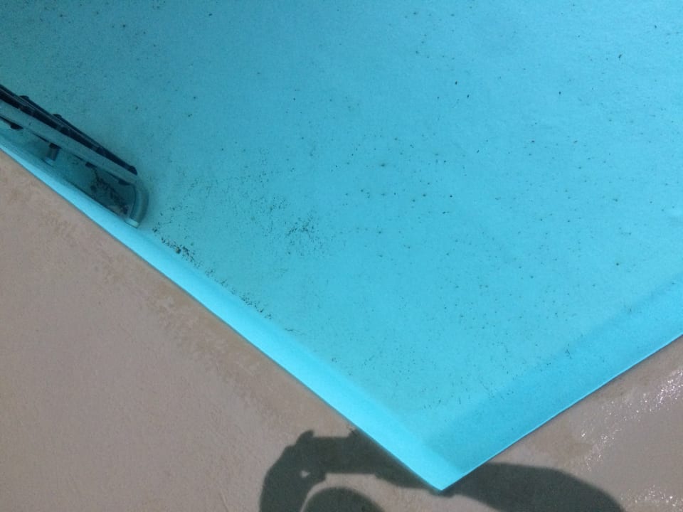 Pool allsun Hotel Lucana