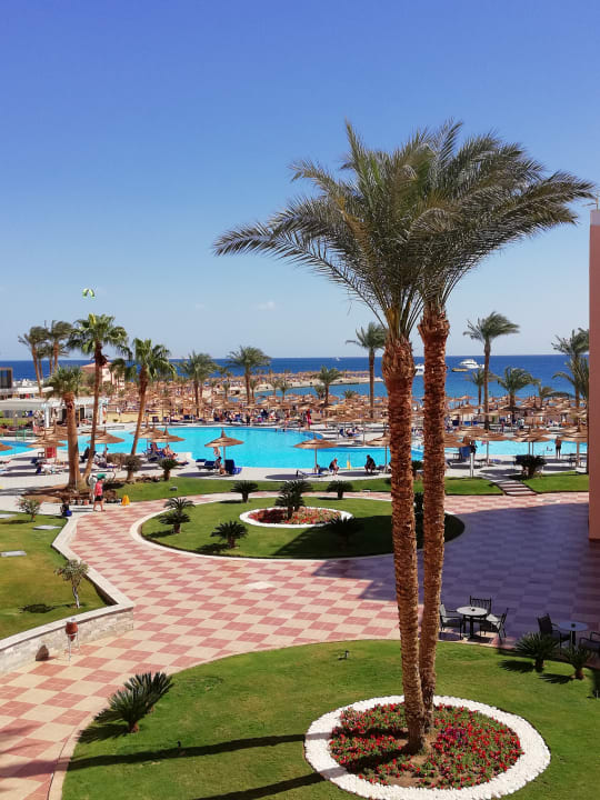 Ausblick von unserem Zimmer Beach Albatros Resort