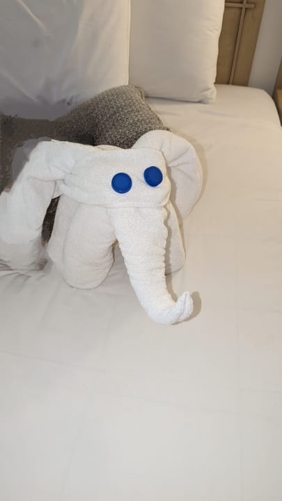 Zimmer Iberotel Casa Del Mar Resort