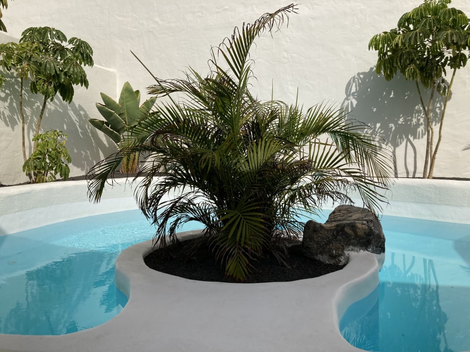 Pool Bahiazul Villas & Club